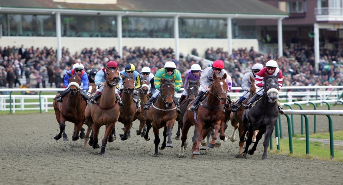 Lingfield Races and live music night
