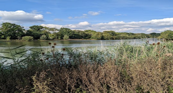 Summer Walk Haysden Country Park