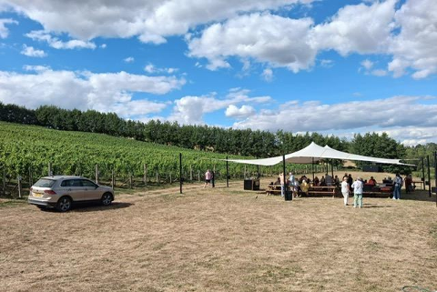 Meopham Valley Vineyard