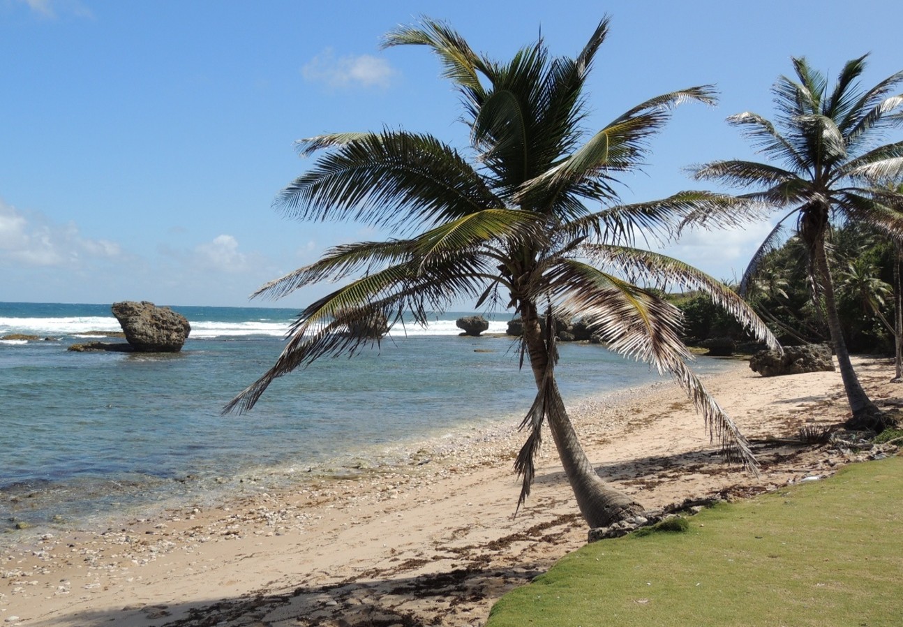 October 2025 Grapevine