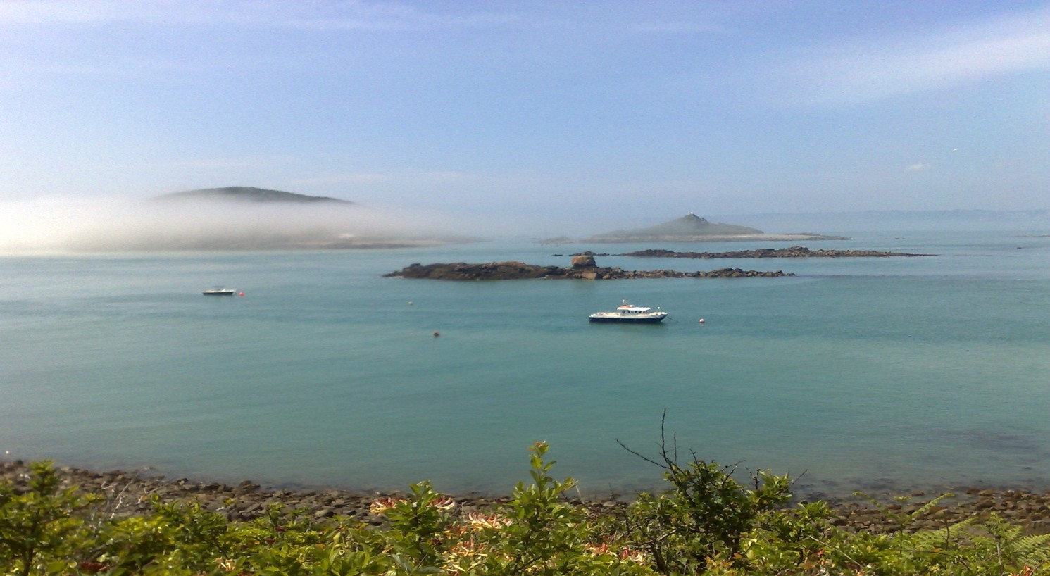 September 2025 Grapevine